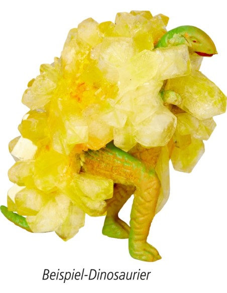 Kristallen kweken Dino-box