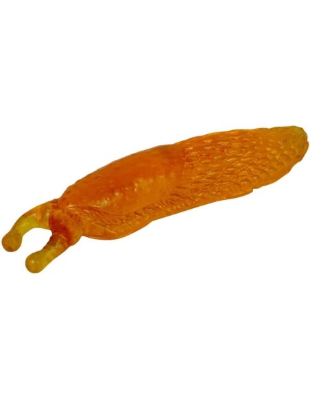 Glibberige naaktslak