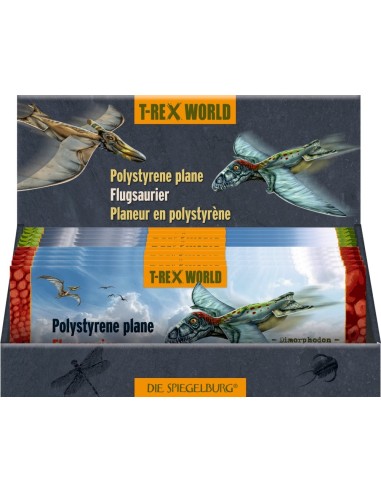 Zweefvliegtuigje T-Rex World