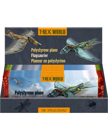 Zweefvliegtuigje T-Rex World