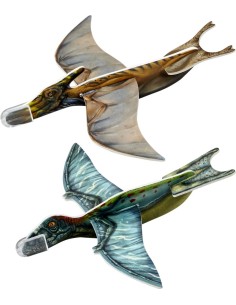 Zweefvliegtuigje T-Rex World