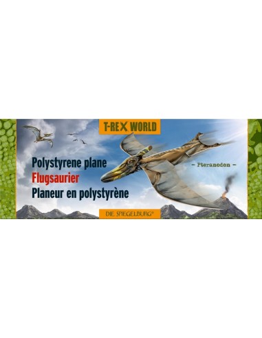 Zweefvliegtuigje T-Rex World