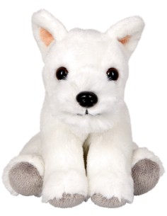 Hond Nick -  in mand 2