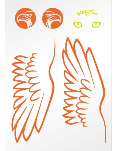 Zweefvliegtuig met katapult