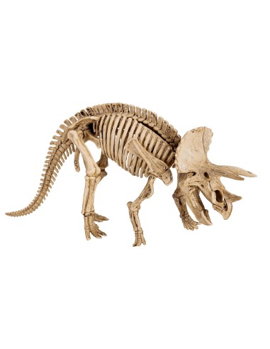 Uitgraafset Triceratops T-RexWorld