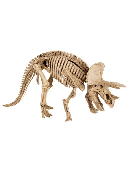 Uitgraafset Triceratops T-RexWorld