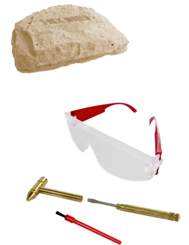 Uitgraafset Triceratops T-RexWorld