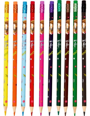 Uitwisbare kleurpotloden