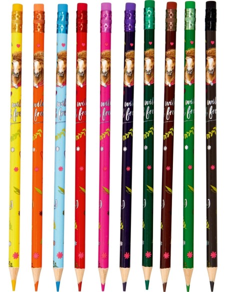 Uitwisbare kleurpotloden