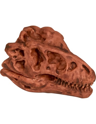 Uitgraafset Dinosaures schedel