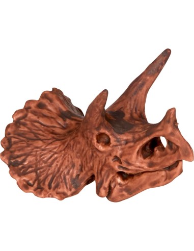 Uitgraafset Dinosaures schedel