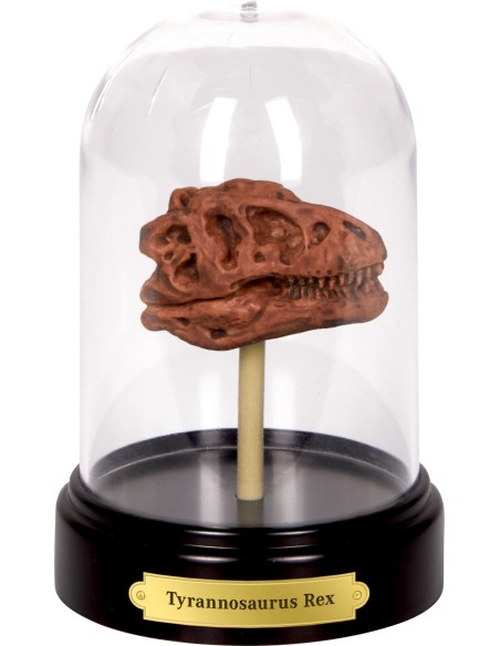 Uitgraafset Dinosaures schedel