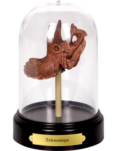 Uitgraafset Dinosaures schedel