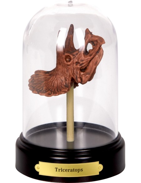 Uitgraafset Dinosaures schedel