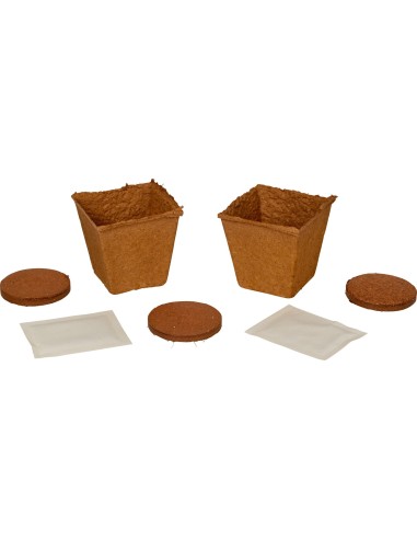 Bloemzaden Groei Kit