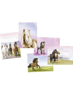 Postkaartjes zelf ontwerpen 2