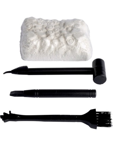 Dinosaurus creatief koffer