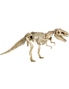 Uitgravings- en gips-Set T-Rex 2