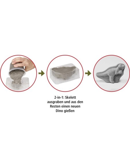 Uitgravings- en gips-Set T-Rex