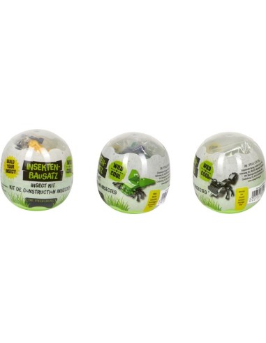 Insecten kit
