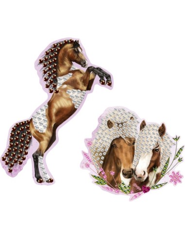 Diamond Sticker Schilderij