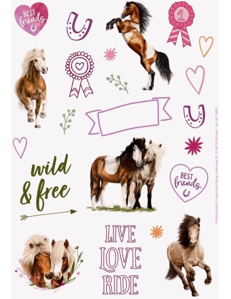 Steen schilderijenset