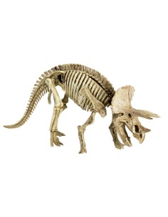 Uitgraafset Triceratops T-RexWorld 2