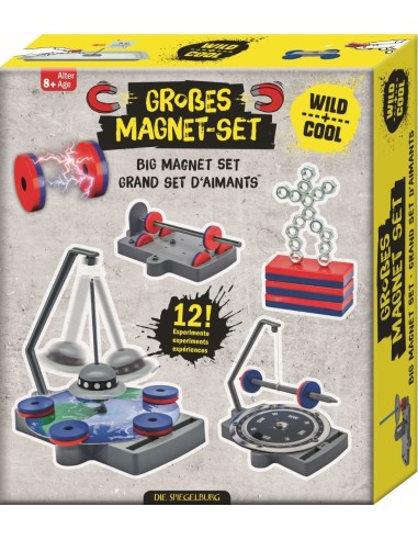 Grote magneetset - 12 in 1