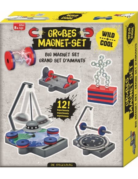 Grote magneetset - 12 in 1