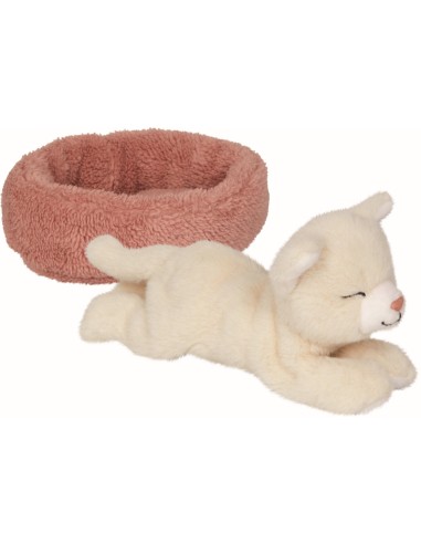 Slapende kat  Penny in de mand