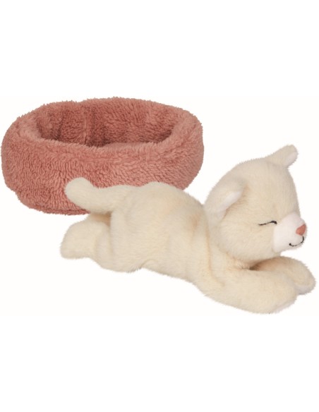 Slapende kat  Penny in de mand