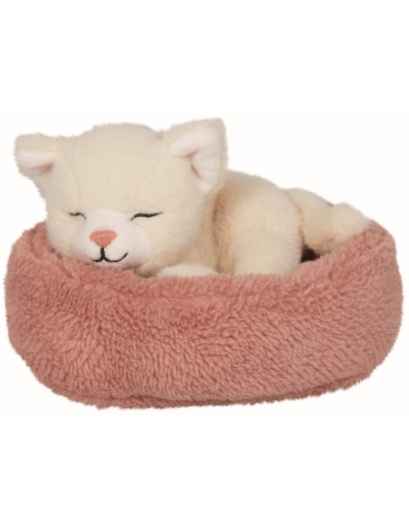 Slapende kat  Penny in de mand