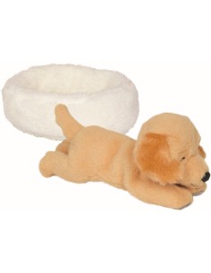 Slapende hond Isi in de mand 2