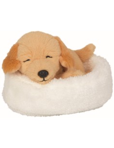 Slapende hond Isi in de mand