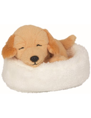 Slapende hond Isi in de mand