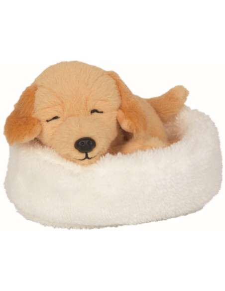 Slapende hond Isi in de mand