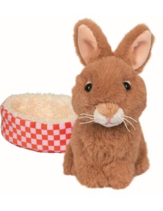 Konijn  Rosi in de mand 2