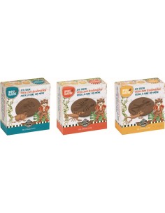 Doe-het-zelf fossiel 2