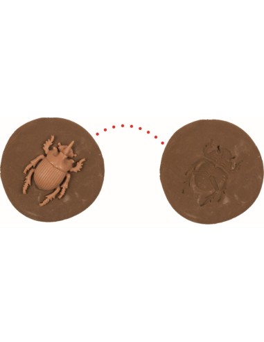 Doe-het-zelf fossiel