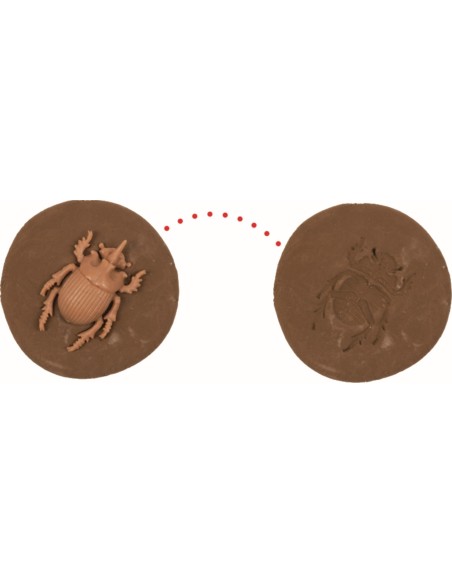 Doe-het-zelf fossiel