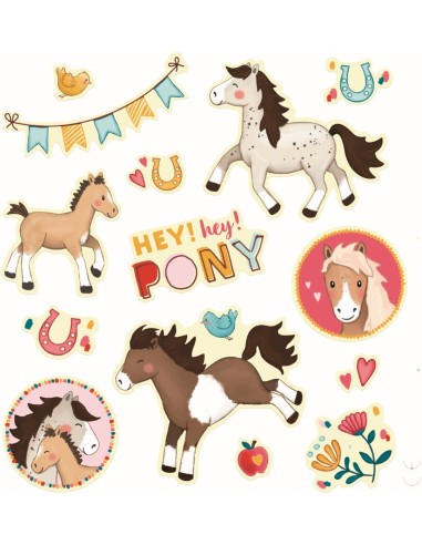 Stickers pony