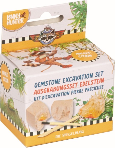 Edelsteen opgravingsset
