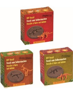 Doe-het-zelf fossiel 2