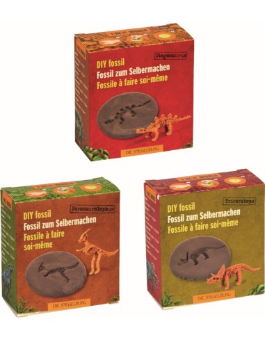 Doe-het-zelf fossiel