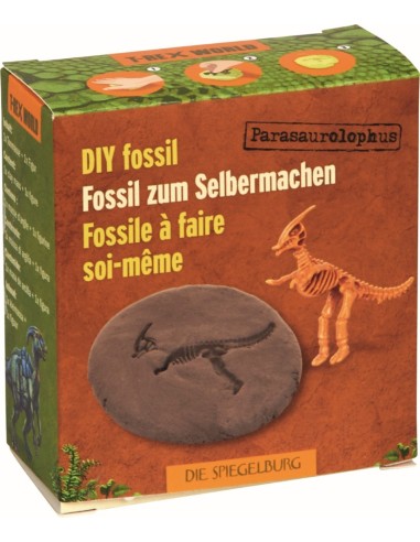 Doe-het-zelf fossiel