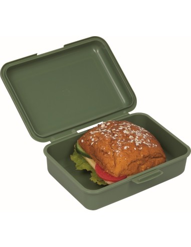 Lunchbox Dino