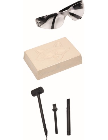 Grote krokodillen uitgraafset