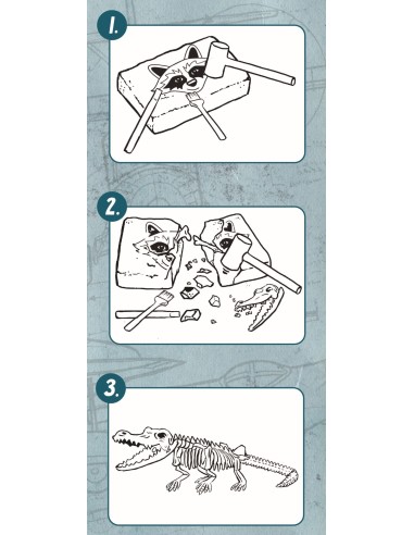 Grote krokodillen uitgraafset