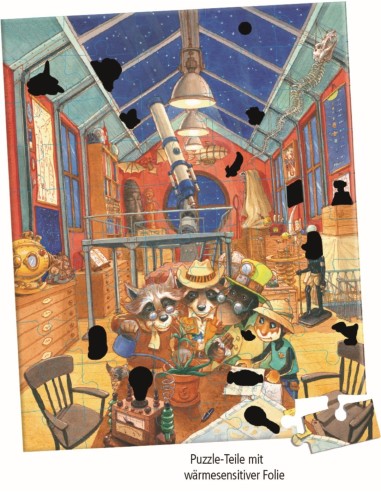 Memopuzzel maanbloem (50 stukjes)