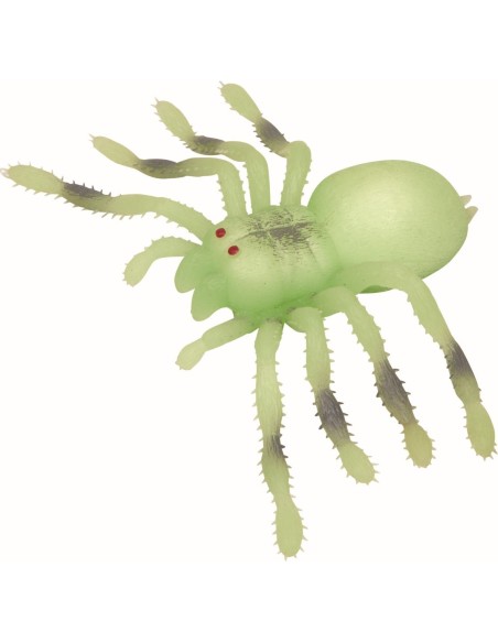 Reuze nachtelijke spin